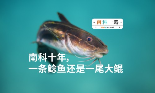 乌黑黑和黑乌乌哪个对-乌和黑的颜色区别-专业乌色和黑色平台-乌和黑有啥区别